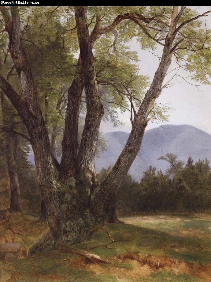 Asher Brown Durand Shandaken,Ulster County